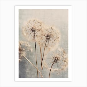 Dandelions 2 Art Print