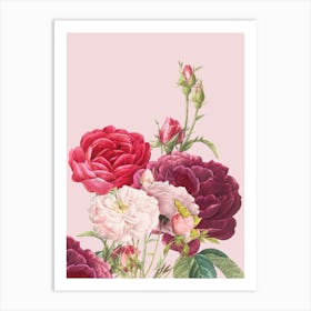 Vintage Pink Roses Art Print