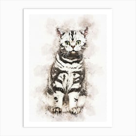 British Shorthair Cat Art Print