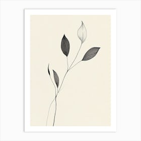 Leaf On A Branch 3 Art Print