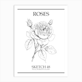 Roses Sketch 48 Poster Art Print