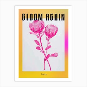 Hot Pink Protea 3 Poster Art Print