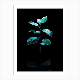 Green Leaf On Black Background 1 Art Print