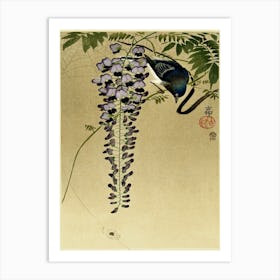 Flycatcher At Wisteria (1900 1910), Ohara Koson Art Print