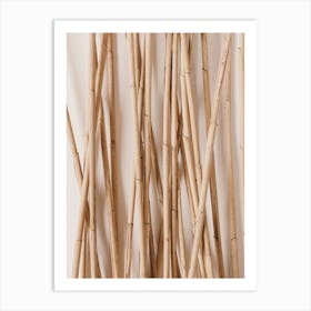 Wooden Reeds Art Print