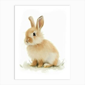 Himalayan Rabbit Kids Illustration 2 Art Print