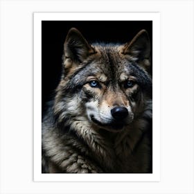 Wolf With Blue Eyes Art Print