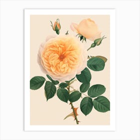 English Roses Painting Rose In A Book 2 Art Print
