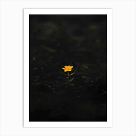 Yellow Flower In The Dark 2 Art Print