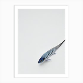 Bluestreak Cleaner Wrasse Black & White Drawing Art Print