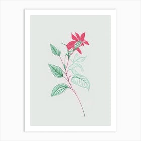 Peppermint Floral Minimal Line Drawing 5 Flower Art Print