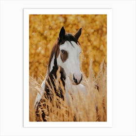 Horse In Wheat Field Art Print