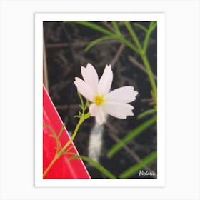 White Flower 2 Art Print