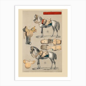 Horse Saddles Art Print