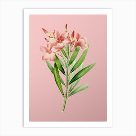 Vintage Oleander Botanical on Soft Pink n.0092 Art Print