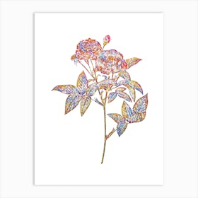 Stained Glass Van Eeden Rose Mosaic Botanical Illustration on White n.0326 Art Print