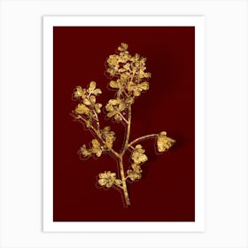 Vintage European Buckthorn Botanical in Gold on Red n.0236 Art Print