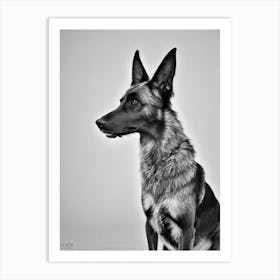 Belgian Laekenois B&W Pencil Dog Art Print