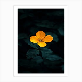 Single Yellow Flower 38 Art Print