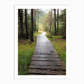 Wooden Path In The Woods Art Print