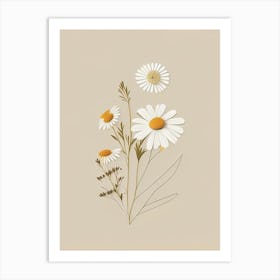 Chamomile Spices And Herbs Retro Minimal 1 Art Print