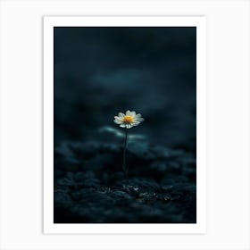 Single Daisy Art Print