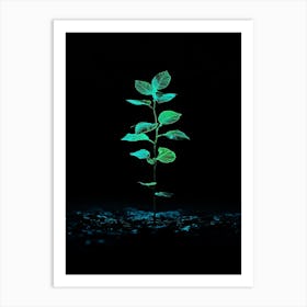 Green Plant In The Dark 2 Art Print