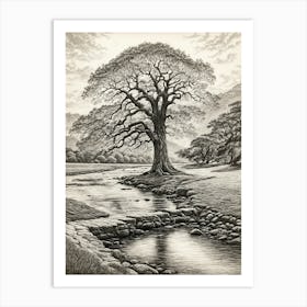 highly detailed pencil sketch of oak tree next to stream, mountain background 10 Art Print