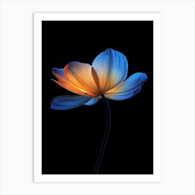 Lotus Flower 18 Art Print