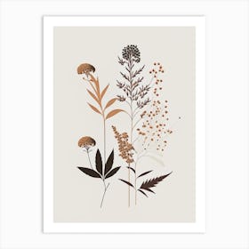 Boneset Spices And Herbs Retro Minimal 1 Art Print