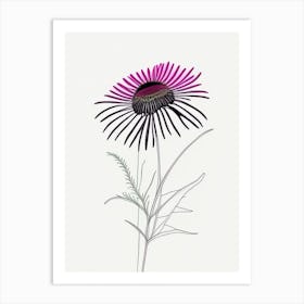 Echinacea Floral Minimal Line Drawing 2 Flower Art Print