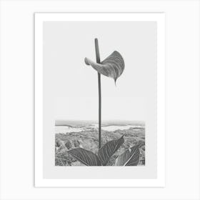 Calla Lilly Flower Photo Collage 2 Art Print