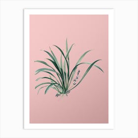 Vintage Sansevieria Carnea Botanical on Soft Pink n.0513 Art Print