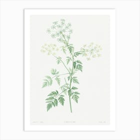 Hemlock from La Botanique de J. J. Rousseau, Pierre Joseph Redoute Art Print