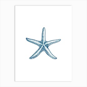 Starfish 27 Art Print