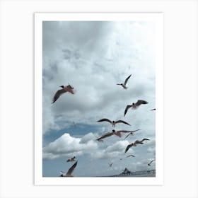 Sea Side Gulls Art Print