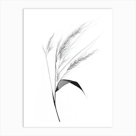 Black And White Grass Art Print