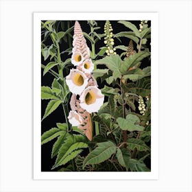 Flower Illustration Foxglove 1 Art Print