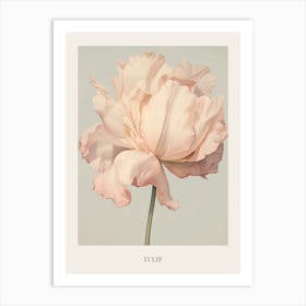 Floral Illustration Tulip 4 Poster Art Print