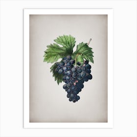 Vintage Grape Vine Botanical on Parchment n.0264 Art Print
