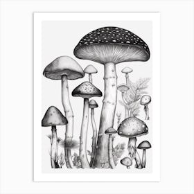 Mushroom Drawing B&W 1 Art Print