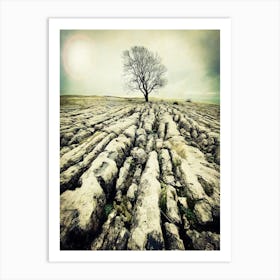 Causeway Tree 1 Art Print