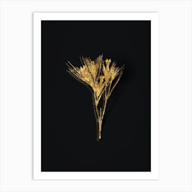 Vintage Witsenia Maura Botanical in Gold on Black n.0546 Art Print