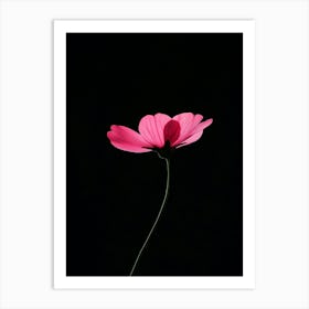 Single Pink Flower On A Black Background Art Print