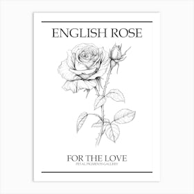 English Rose Black And White Line Drawing 41 Poster Art Print