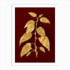 Vintage Balsam Poplar Leaves Botanical in Gold on Red n.0392 Art Print