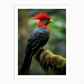 Feathers of the Andes: Jungle Bird Wall Art Art Print
