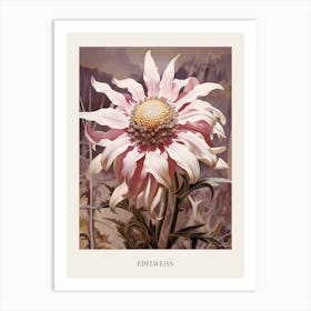 Floral Illustration Edelweiss 1 Poster Art Print