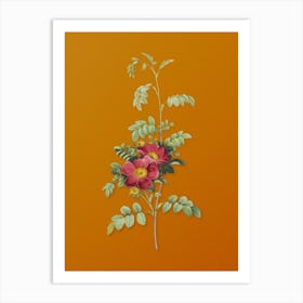 Vintage Alpine Rose Botanical on Sunset Orange n.0465 Art Print