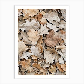 Autumn Leaves On The Ground 1 Art Print